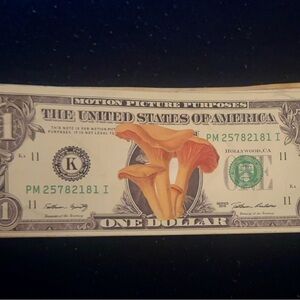 Fungi Dollar